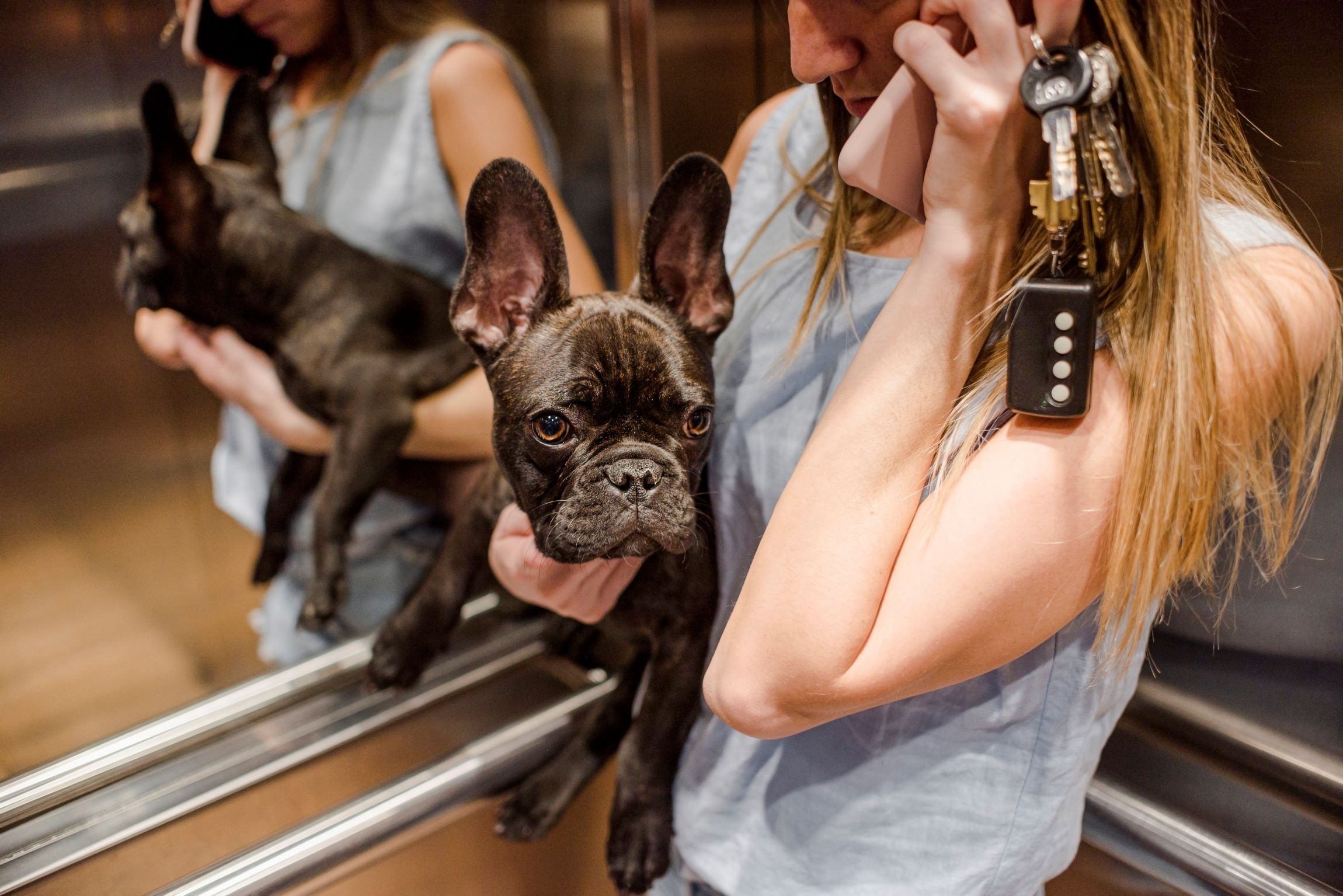 Pets em elevadores